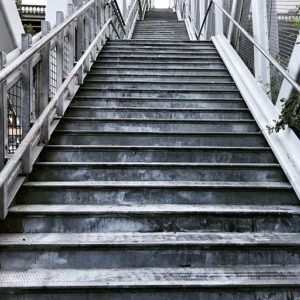 step-3183039_640